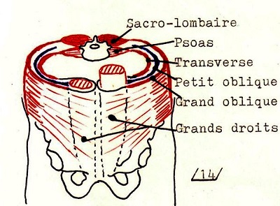 Sangle