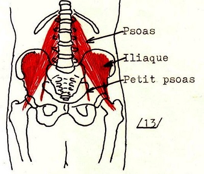 Sangle Psil