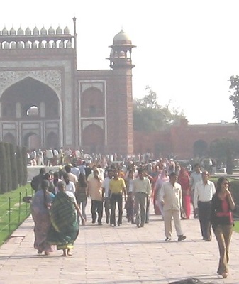 taj approche 41